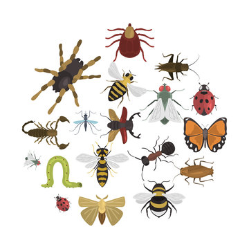 Different insects color vector icons set. Flat design