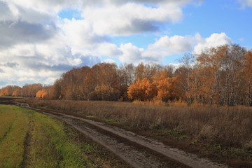 Fototapeta na wymiar autumn, field, Altai, Corn,Clouds, Sky