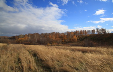autumn, field, Altai, Corn,Clouds, Sky