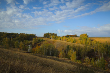 autumn, field, Altai, Corn,Clouds, Sky