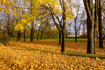 City Park in Narva, autumn view, Estonia