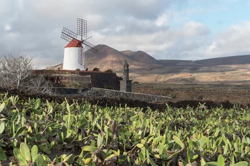 Foto op Plexiglas Lanzarote, Canary Islands, Spain, old wind mill © Dmytro Surkov