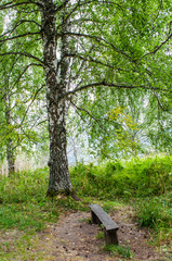 On top of the mountain Church bench in the woods. Altai territory.  Altai mountains.