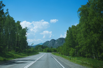 Road with markings in the forest, blue sky, white clouds.