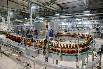 beer bottling conveyor belt in brewing factory - Powered by Adobe