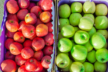 heap of unwashed green and red apples mix on wooden background, top side view closeup