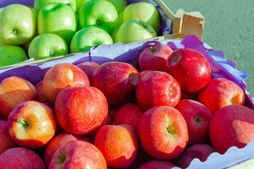 heap of unwashed green and red apples mix on wooden background, top side view closeup