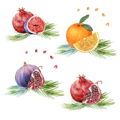 Watercolor fruits christmas 