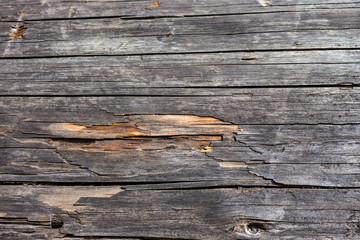 Gray wooden horizontal planks. Aged grunge wooden panels. Organic wall decoration. Hardwood boards. Wooden texture closeup. 