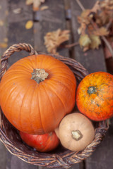Pumpkins in Basket on daylight Autumn season Vegetables