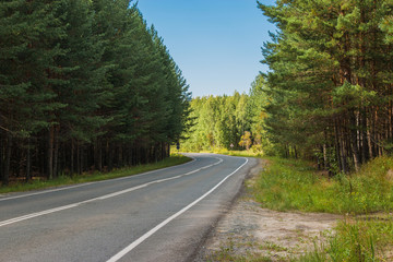 Road through green deep forest in Russia