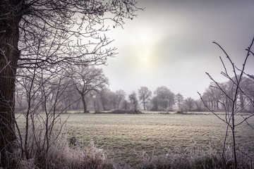 Frosty farm field with bare winter trees