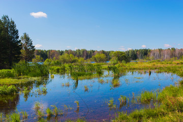 Mysterious forest and lake in field of Russia