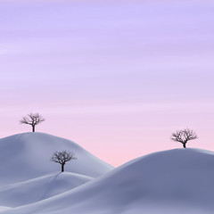 bare trees in a winter landscape