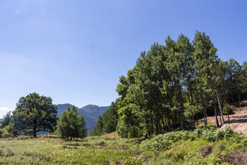 Fototapeta na wymiar Landscape in Rhodopes