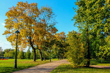the autunm park © kuzmah