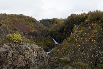 Fototapeta premium iceland