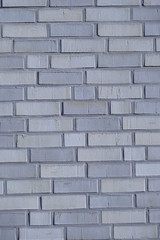 Blau-Graue Ziegelsteinmauer, Ziegelsteine