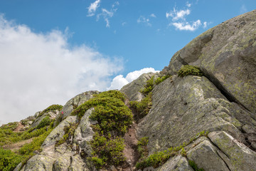 Mountains scenes, walk through the great Aletsch Glacier