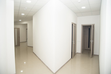 Fototapeta na wymiar Empty office corridor with many doors of light wood