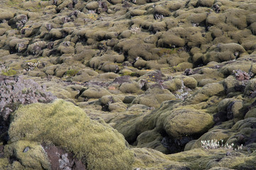 iceland