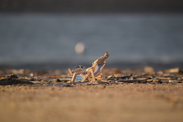 Nordsee - Eindrücke vom Herbst 2018 auf Römö