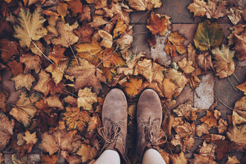 Woman's feet in brown suede shoes in autumn maple leaves