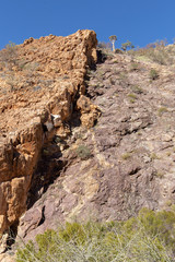 Felskante im Quiver Tree Canyon