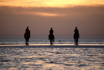 Nordseeküste bei Sonnenuntergang in Sankt Peter Ording im Herbst 2018