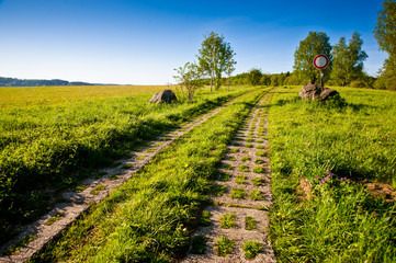 Former sealed border road (tank road) of  the German Democratic Republic today forms the green belt...