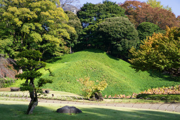 Green grass hill in Japanese garden when the leaves turn red with yellow and green leaves background (Koishikawa Korakuen, Tokyo, Japan)