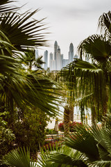 Beautiful skyline of Dubai framed with palm trees.