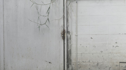 Old door with key ring.