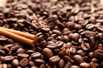 A gorgeous stick of natural fragrant brown cinnamon lies on freshly roasted coffee beans in the lower left third of the frame in a golden section. Photo of coffee beans and cinnamon in backlight.