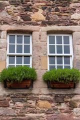 Fototapeta na wymiar Two white frame windows decorated with green potted plants on an old stone facade.