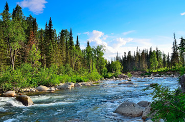 Fast flowing mountain river among dense forests and huge stones