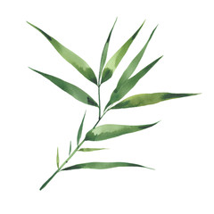 Obraz premium watercolor bamboo branch