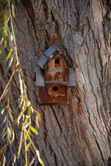 wooden birdhouse on tree