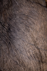 old wood texture