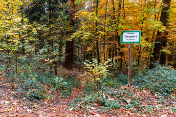 Schild - Waldweg gesperrt für Radfahrer - Übersichtsaufnahme