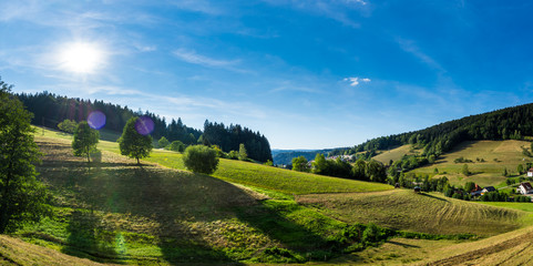 Germany, XXL panorama of scenic black forest and fields nature landscape - obrazy, fototapety, plakaty