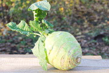 Kohlrabi on rustic wooden table