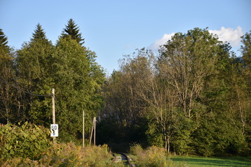 Gleis, Schiene, Schwelle, Normalspur, Holzschwelle, Mutter, Bahnsteig, Weiche, Endstation,...