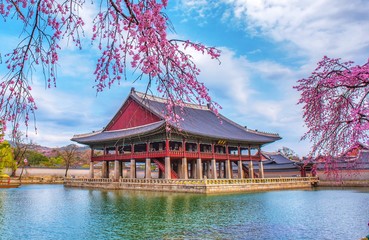 Obraz premium Pałac Gyeongbokgung wiosną w Seulu w Korei Południowej