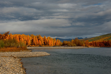 Russia. far East. The colours of autumn are cold-water rivers of Magadan.
