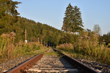 Gleis, Schiene, Schwelle, Normalspur, Holzschwelle, Mutter, Bahnsteig, Weiche, Endstation,...