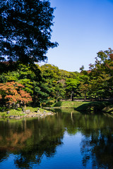 Fototapeta na wymiar Landscape of Japanese garden with beautiful trees and a pond (Koishikawa Korakuen, Tokyo, Japan)