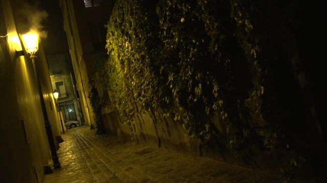 Ruelle de nuit avec de la fum&eacute;e