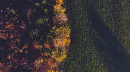 Landwirtschaft im Herbst von Oben
