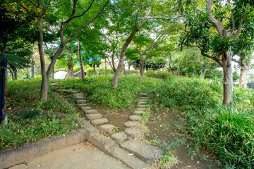 Fototapeta premium 大森貝塚遺跡庭園